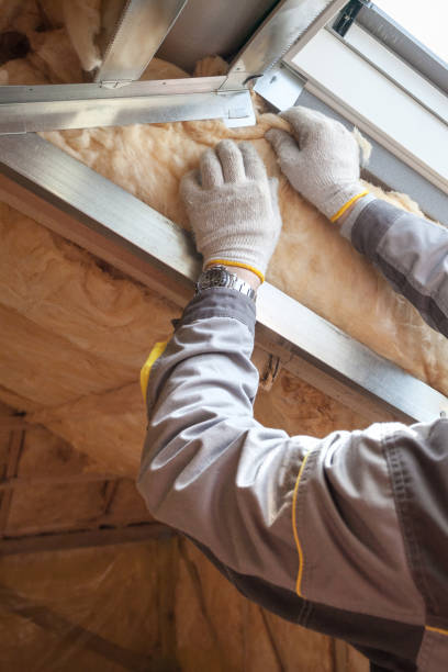 Trusted Morehead City, NC Insulation Contractor Experts